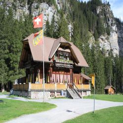 Berghotel-Waldhaus