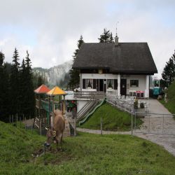 Bergrestaurant-Alpstubli